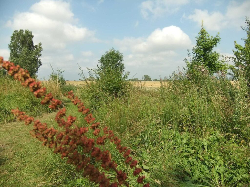 Akaciegaarden Bed & Breakfast - copyright: Camilla Gregers-Høegh